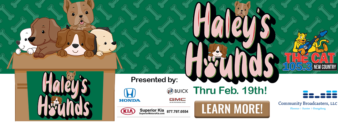 4_haleys_hounds_slider 4_haleys_hounds_slider
