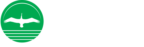 ccnb logo