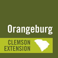 clemson ext